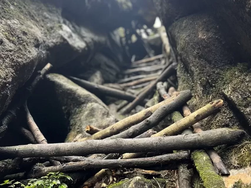ladder ascending through narrow path between two rock walls