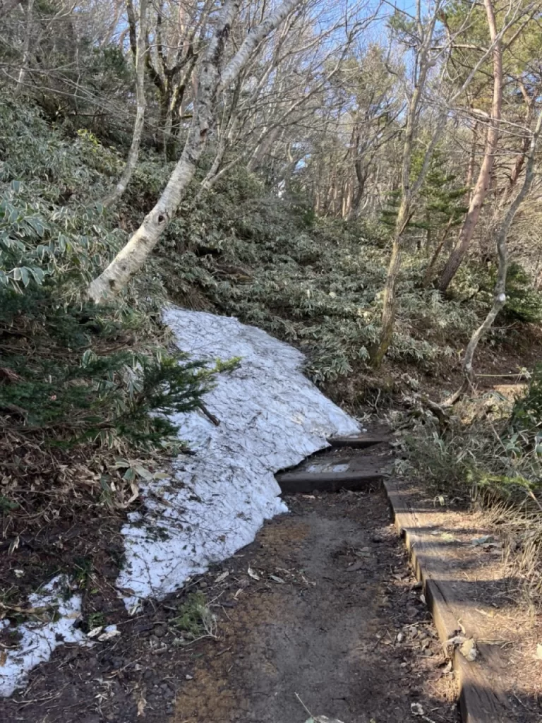 patch of snow on the side of a mountain trail weaving up through trees