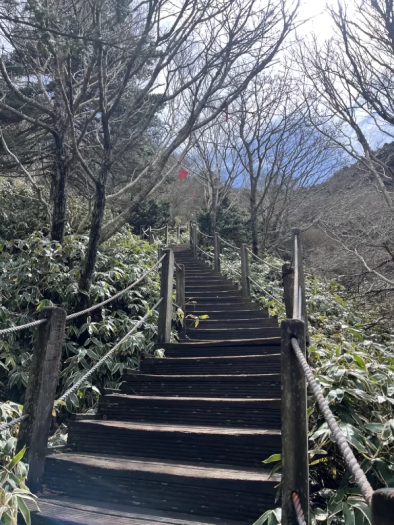 steep staircase on a mountain trail surrounding by trees with a mountaintop poking up in front