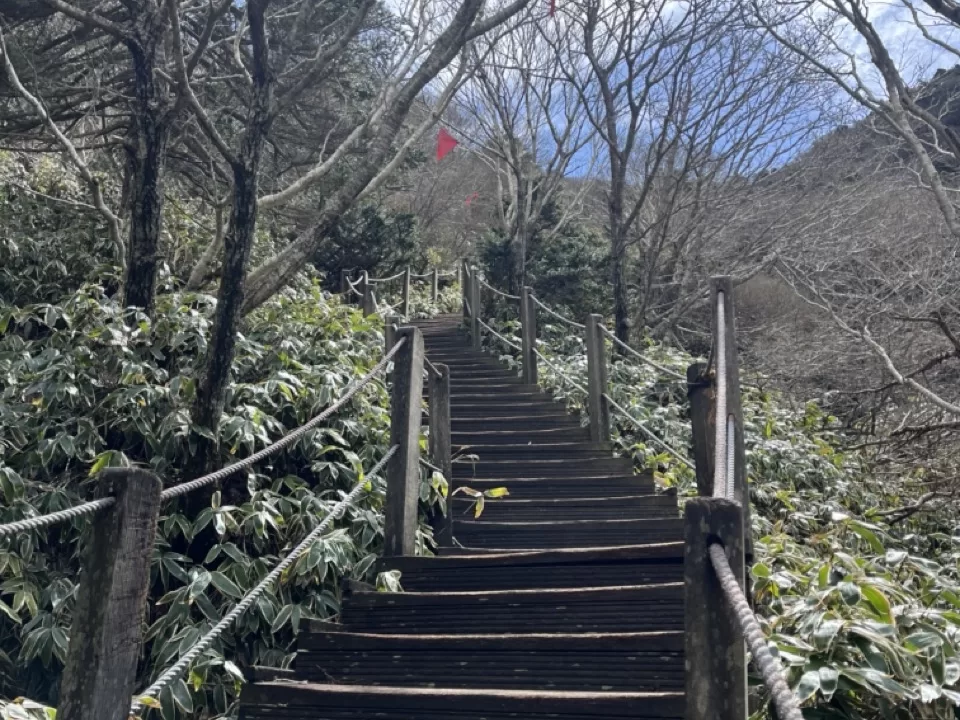 steep staircase on a mountain trail surrounding by trees with a mountaintop poking up in front