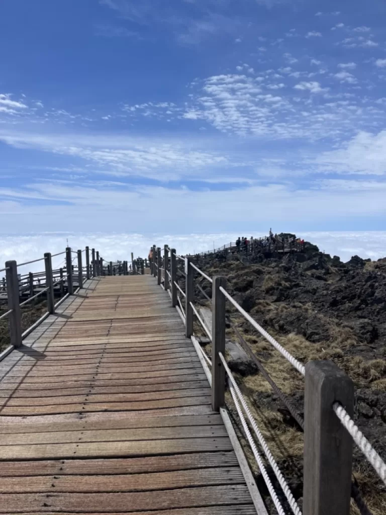 wooden plank trail cresting the peak of mountain, overlooking a view of a sea of clouds