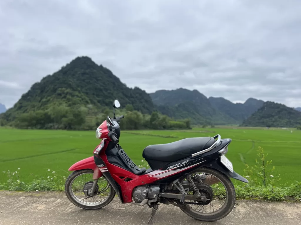 motorbike with the bright green rice fields of phong nha in the background