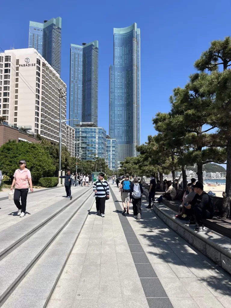 beach boardwalk with trees on the side and three tall blue skyscrapers ahead