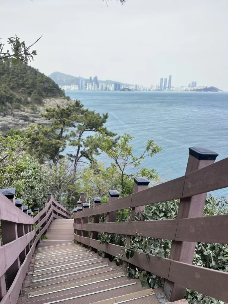 staircase on a coastal walk with blue sea and nature in the immediate vicinity but skyscrapers rising up in the distance