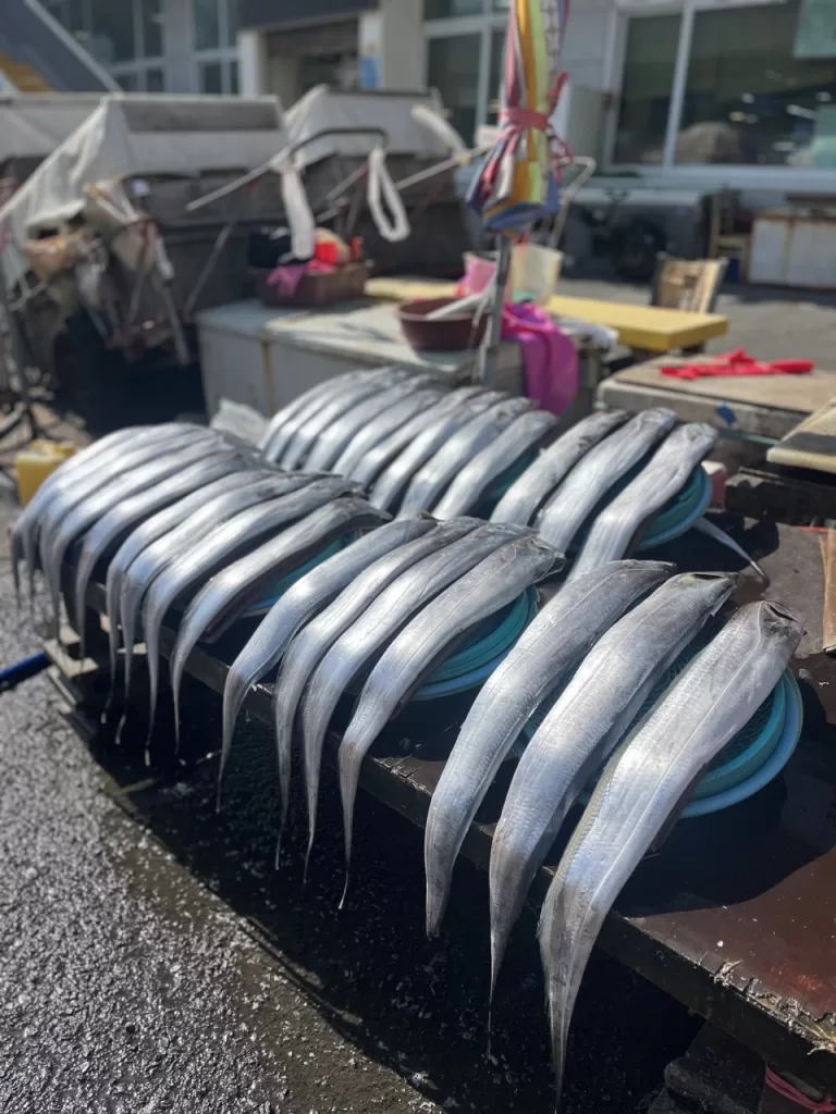 a bunch of long silver fish lying on a stand at a fish market