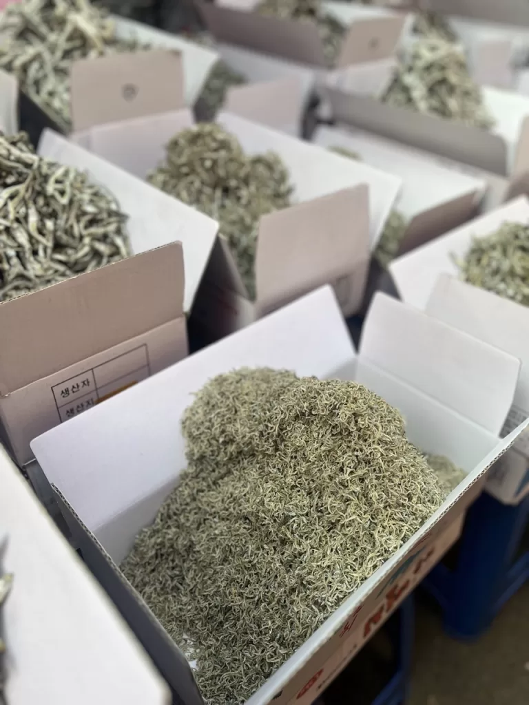 boxes filled with tiny little dried fish at a fish market